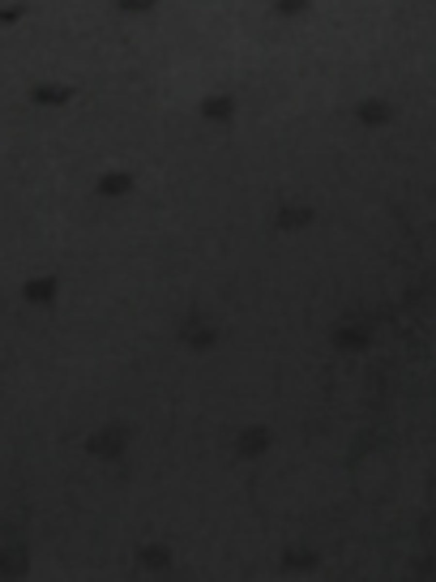 Peter Pan Collar Swiss Dots Short Sleeve Button Front Shirt Blouse