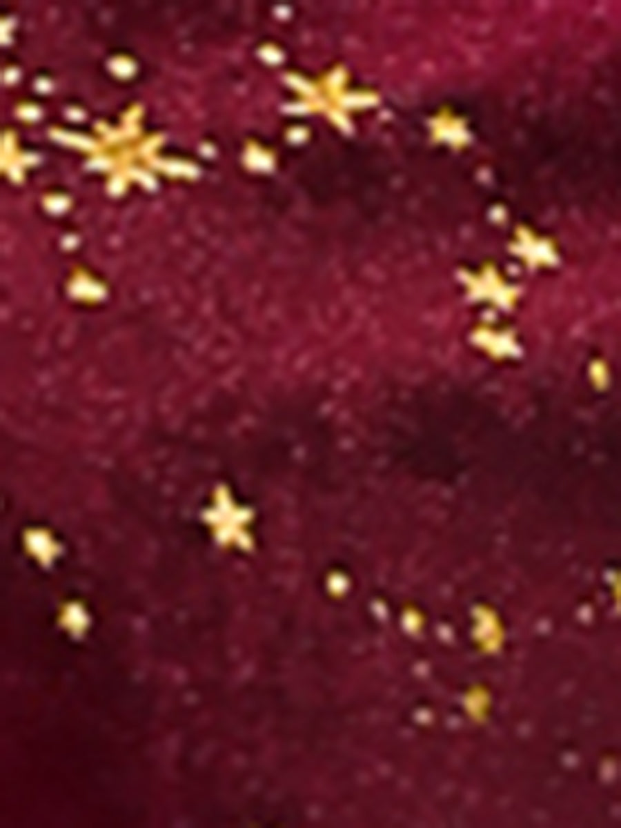 Velvet Blouse Stand Collar Long Sleeve Stars Tops