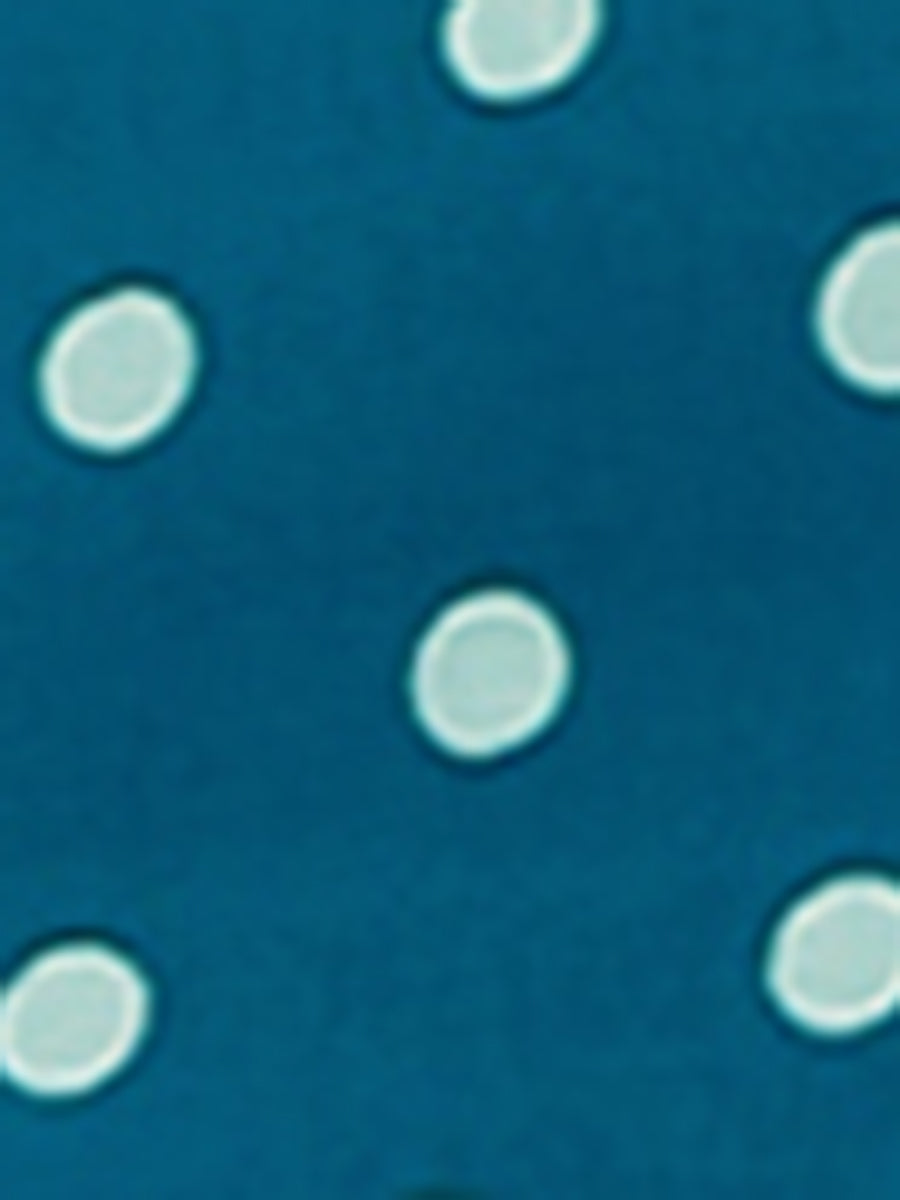 Short Sleeve Tops Vintage Polka Dots Button Up Shirt