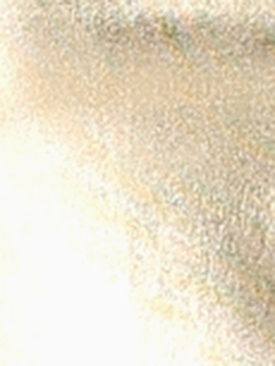 Metallic Crop Tops Mock Neck Zip Up Shiny Holographic Tank Top