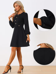 Crew Neck Office Contrast Button Decor Long Sleeve Dress