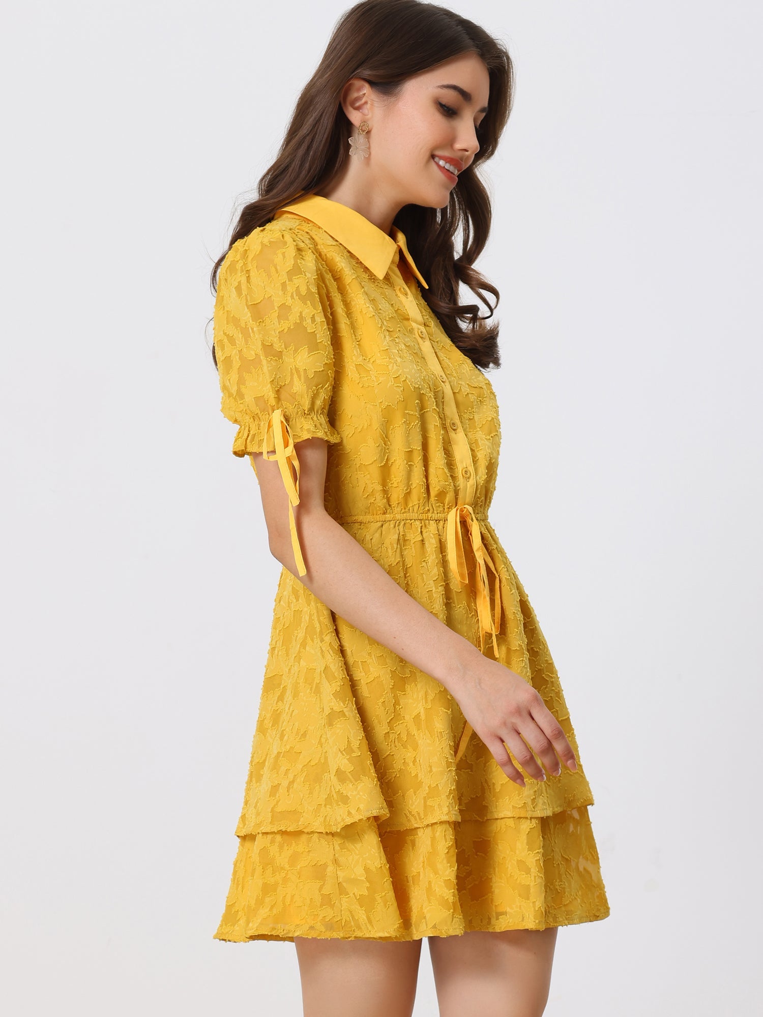 Peter Pan Collar Floral Drawstring Chiffon Layered Dress