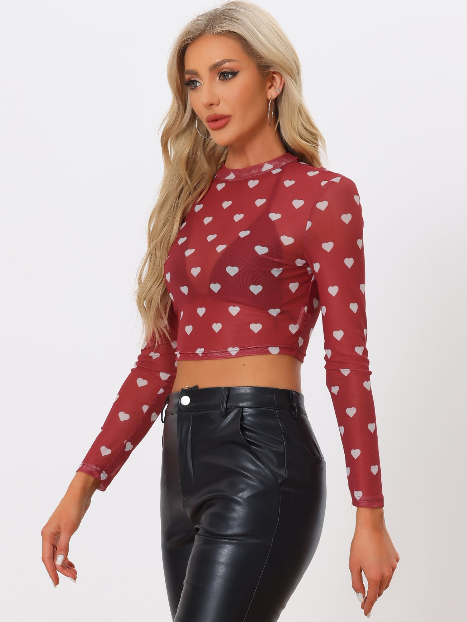 Semi-Sheer Sexy Heart Mesh Crop Top Long Sleeve Blouse