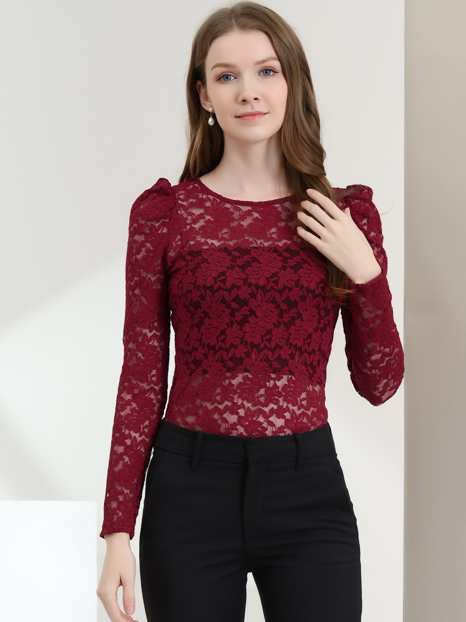 Retro Lace Semi Sheer Puff Long Sleeve Embroidery Blouse