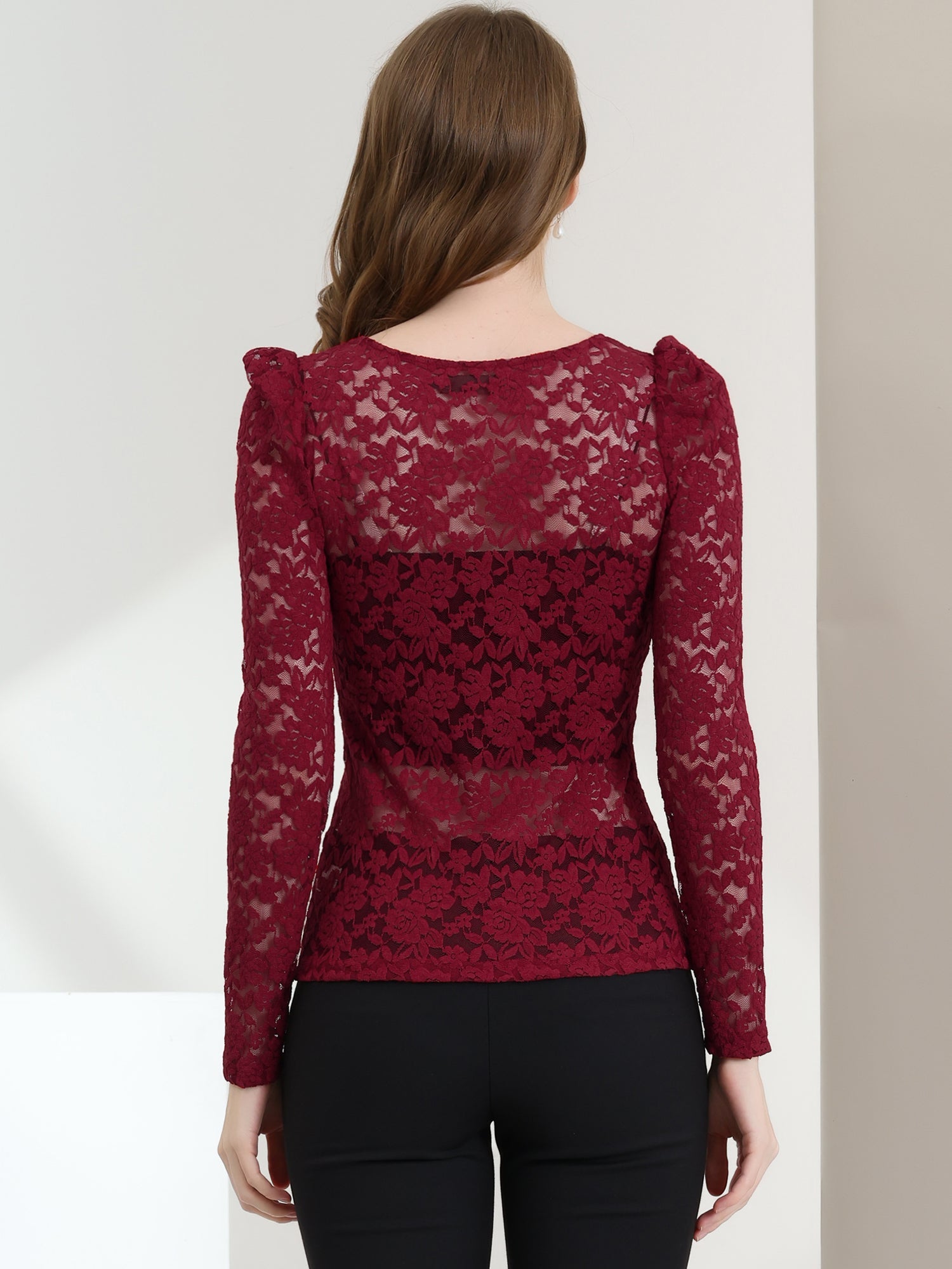 Retro Lace Semi Sheer Puff Long Sleeve Embroidery Blouse