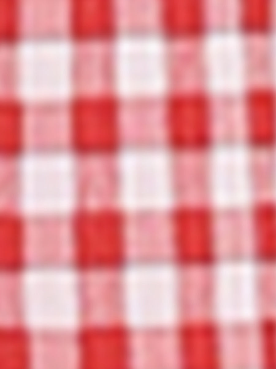 Ruffle Trim V Neck Button Decor Plaid Gingham Tiered Midi Dress