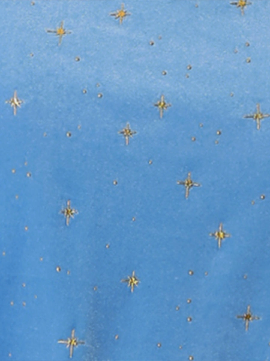 Sheer Puff Sleeve Square Neck Glitter Metallic Star Velvet Mini Dress