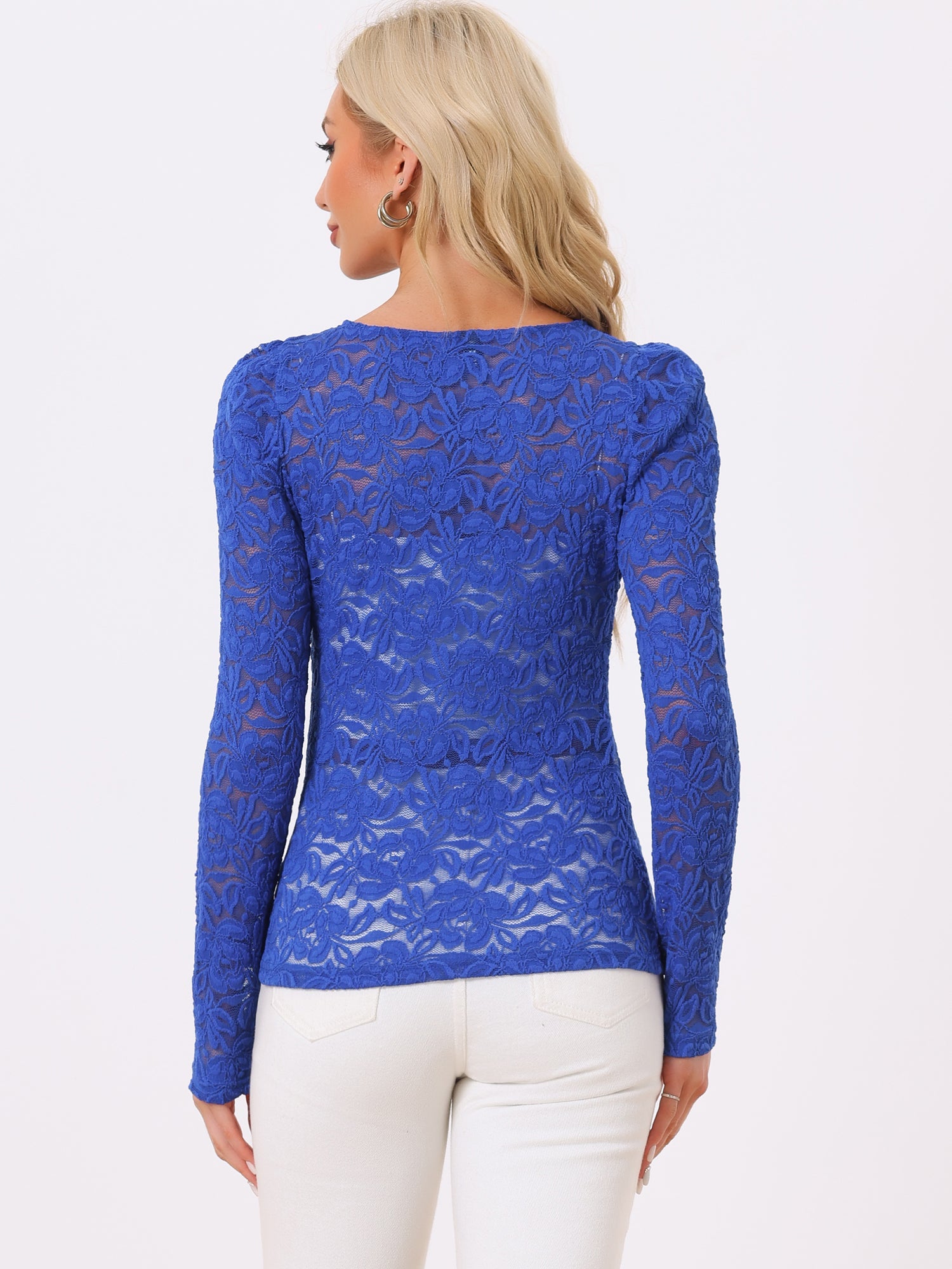 Retro Semi Sheer Puff Long Sleeve Embroidery Lace Blouse