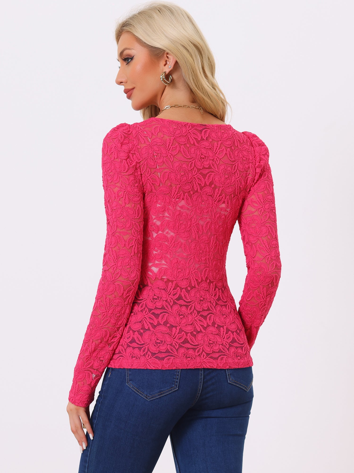 Retro Lace Semi Sheer Puff Long Sleeve Embroidery Blouse