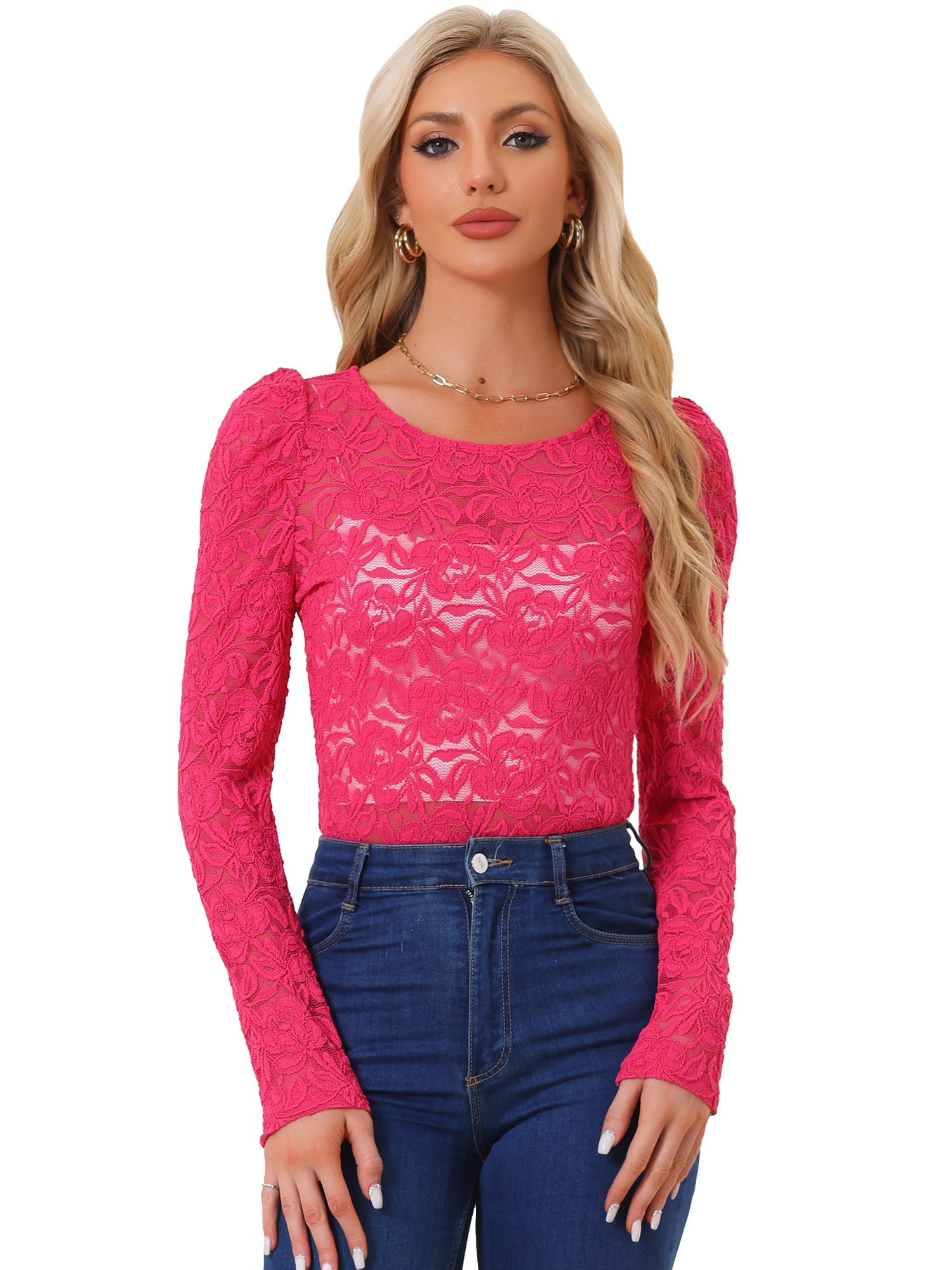 Retro Lace Semi Sheer Puff Long Sleeve Embroidery Blouse