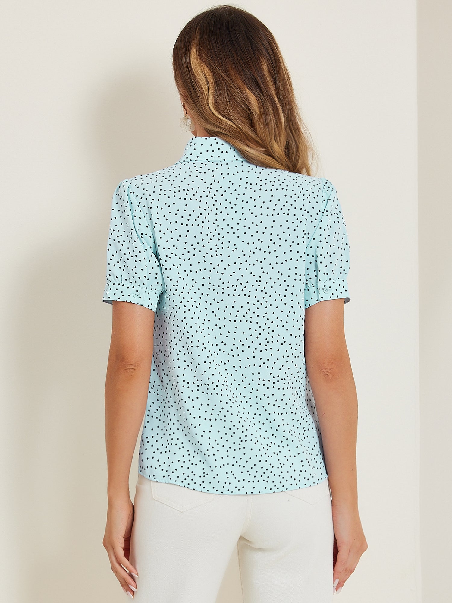 Retro Dots Bow Tie Peter Pan Collar Chiffon Blouse