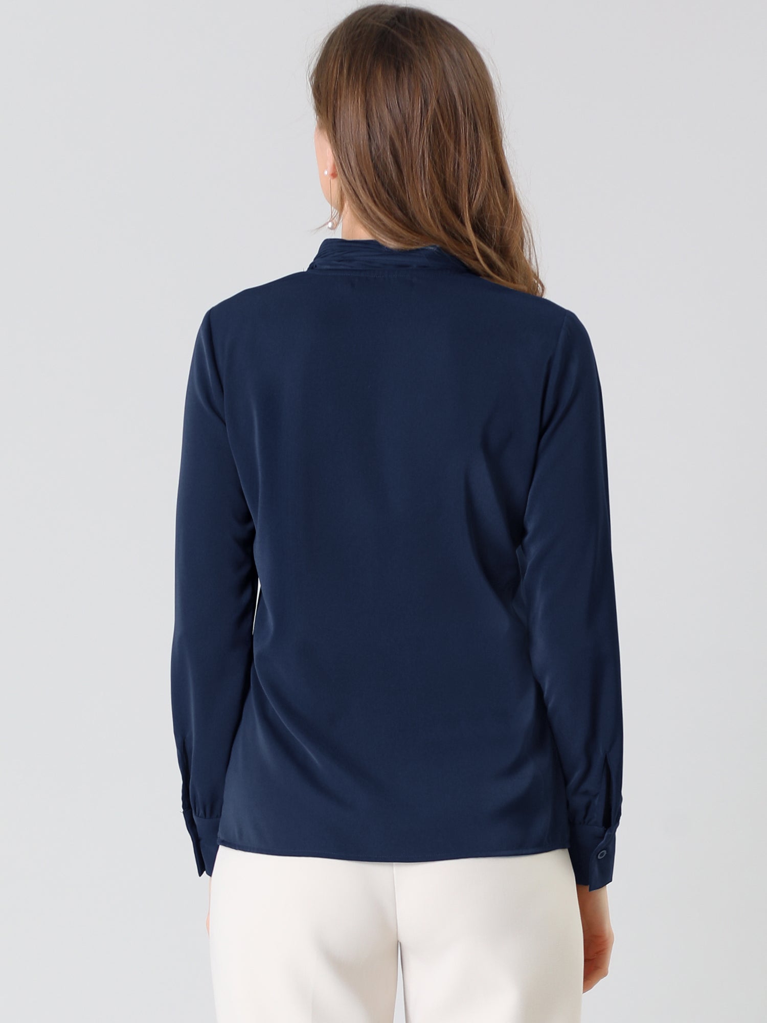 Long Sleeve Chiffon Pleated Tie Neck Office Blouse