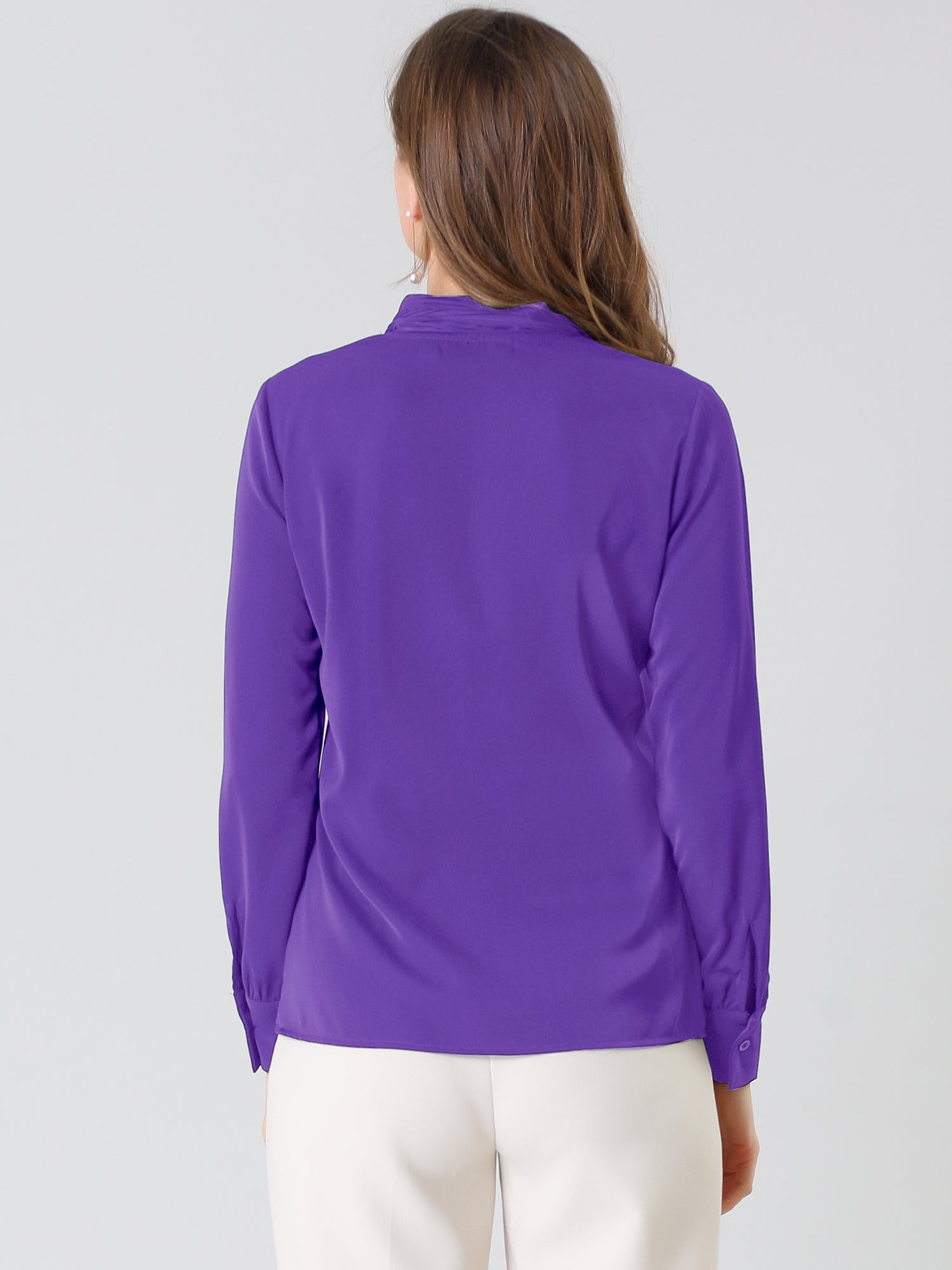 Long Sleeve Chiffon Pleated Tie Neck Office Blouse