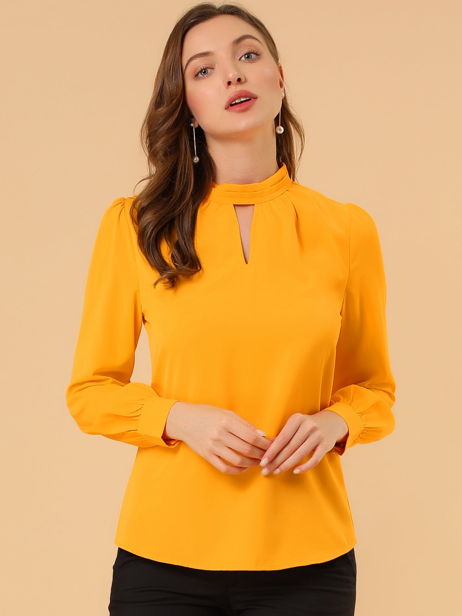 Keyhole Elegant Stand Collar Long Sleeve Chiffon Office Blouse