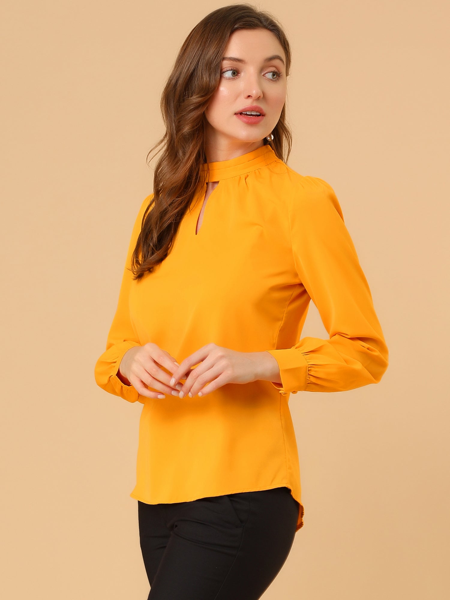 Keyhole Elegant Stand Collar Long Sleeve Chiffon Office Blouse