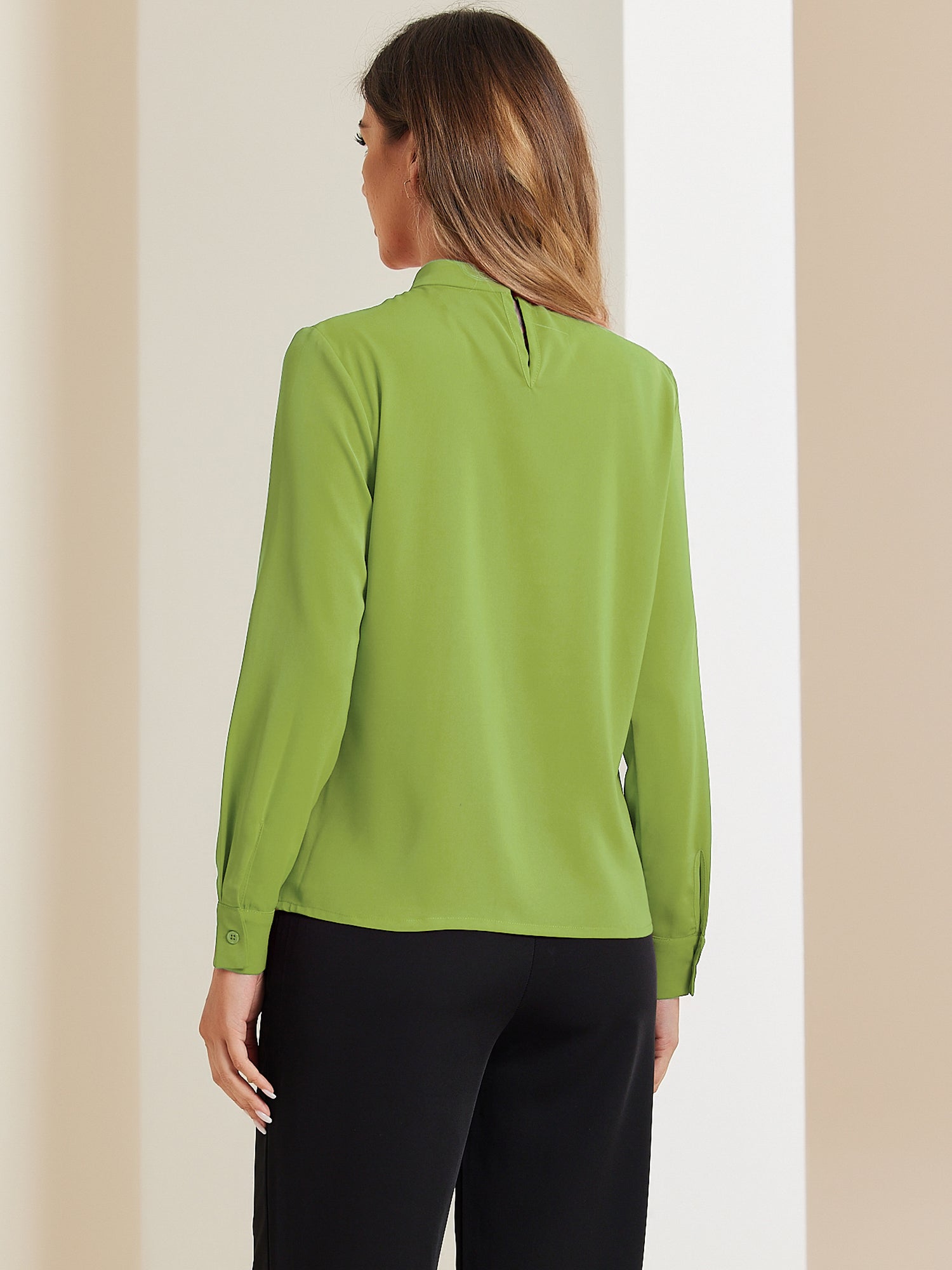 Stand Collar Chiffon Long Sleeve Business Casual Work Blouse