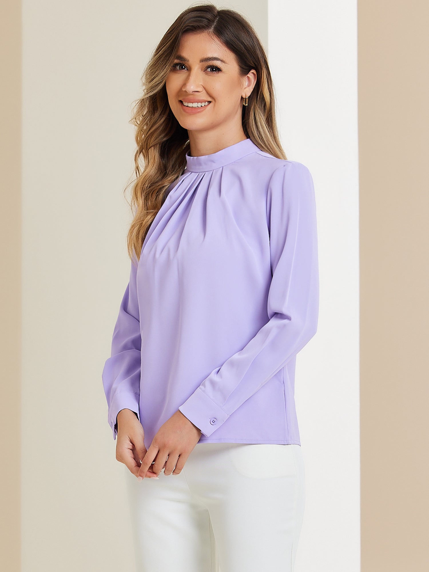 Stand Collar Chiffon Long Sleeve Business Casual Work Blouse