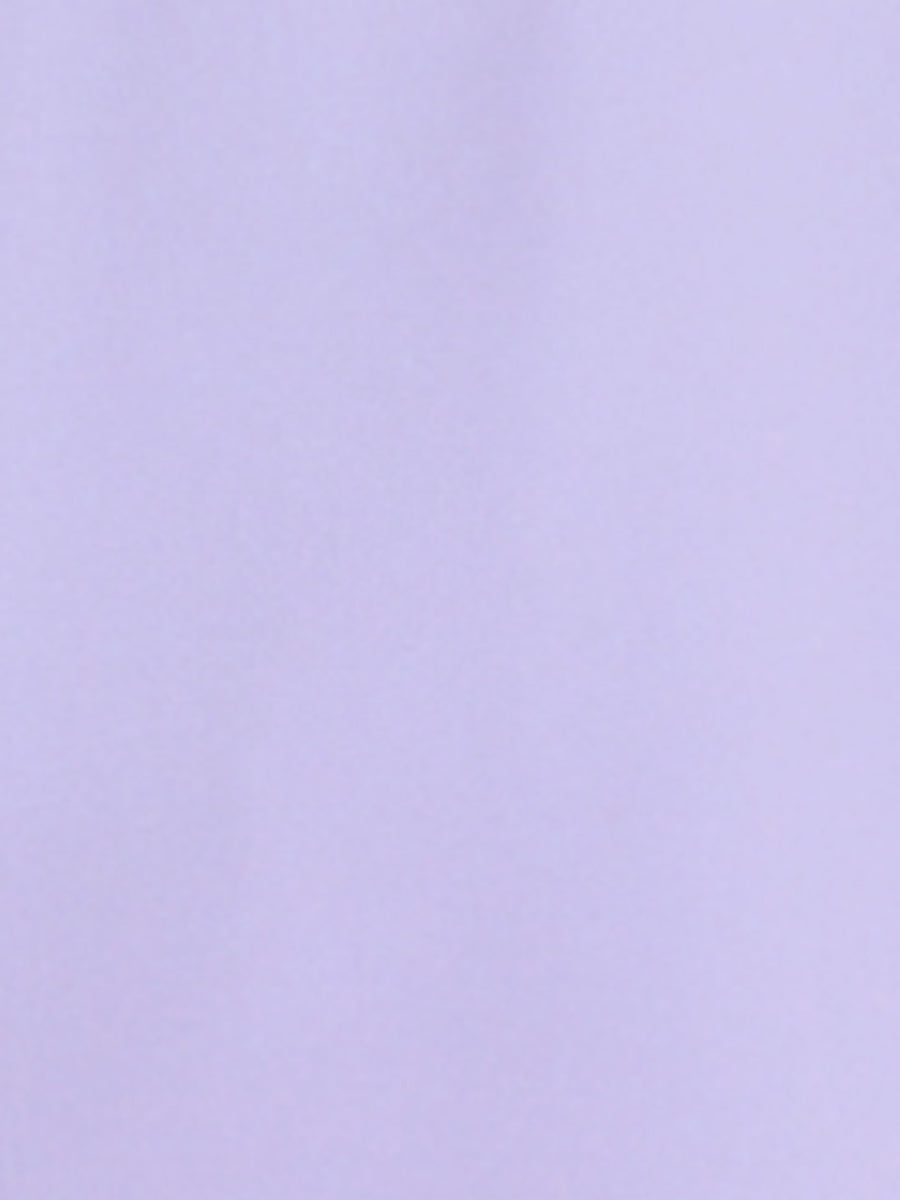 Stand Collar Chiffon Long Sleeve Business Casual Work Blouse