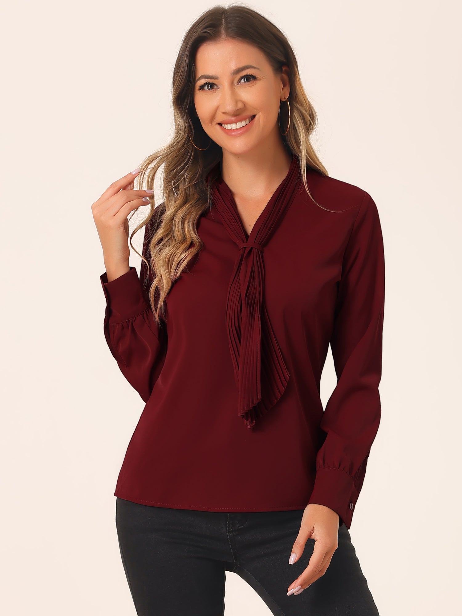 Long Sleeve Chiffon Pleated Tie Neck Office Blouse