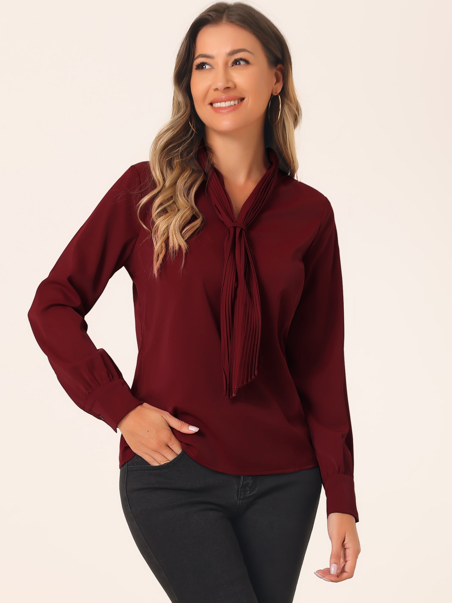 Long Sleeve Chiffon Pleated Tie Neck Office Blouse