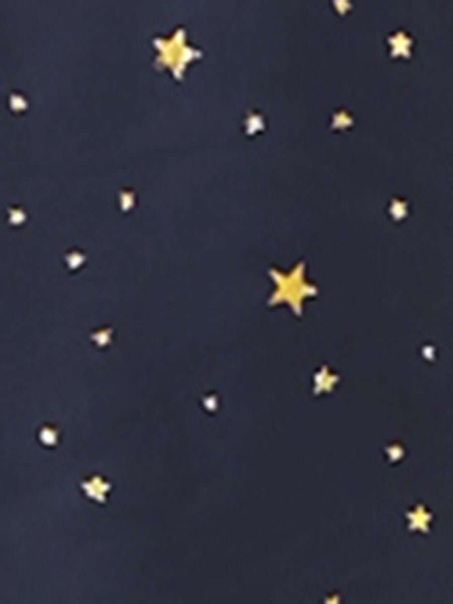 Spaghetti Strap Organza Fit and Flare Party Metallic Stars Mini Dress