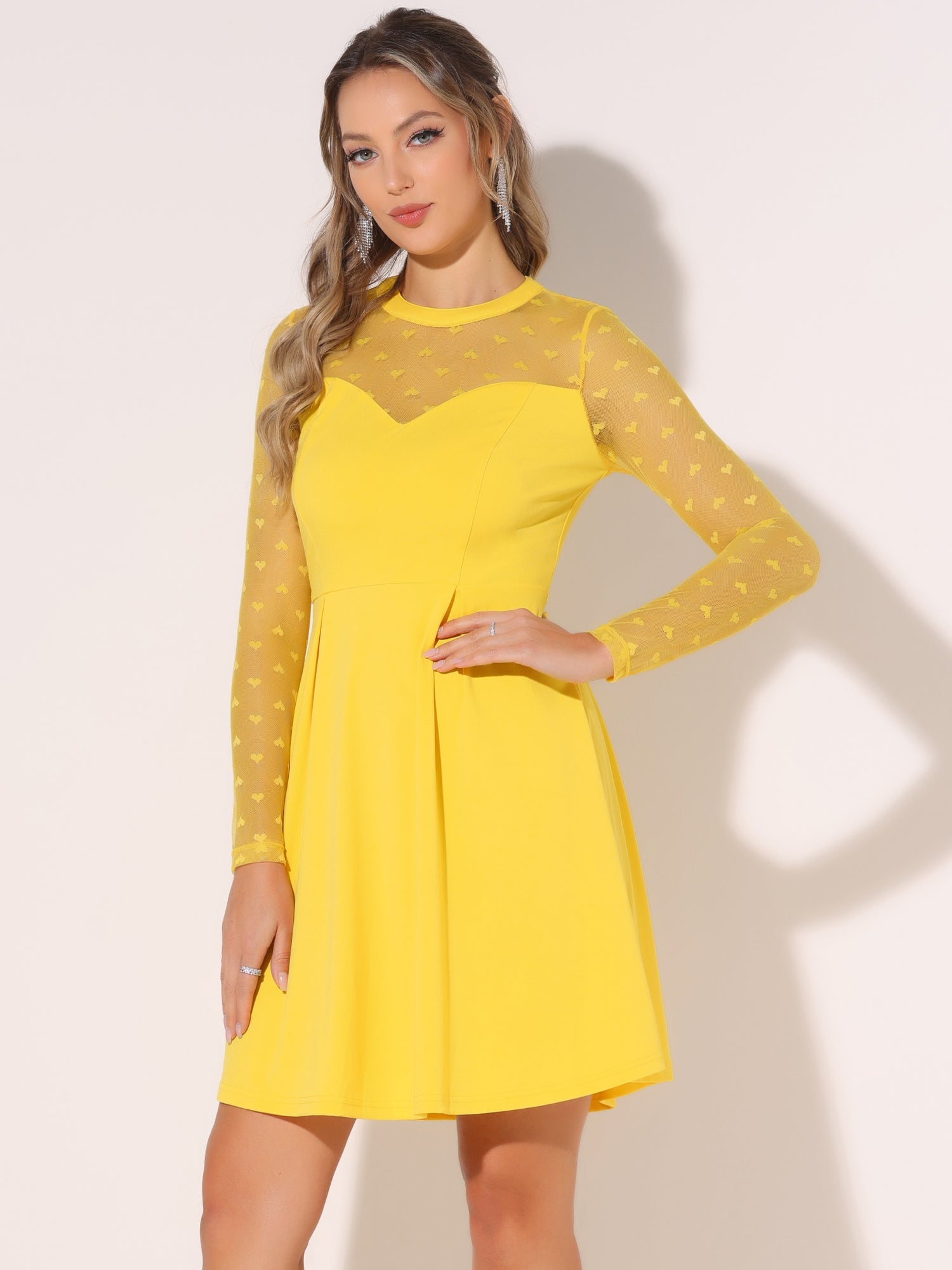 Heart Mesh Sheer Long Sleeve Gothic Cocktail Skater Mini Dress