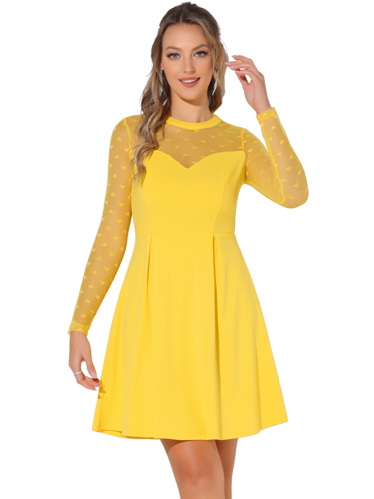 Heart Mesh Sheer Long Sleeve Gothic Cocktail Skater Mini Dress