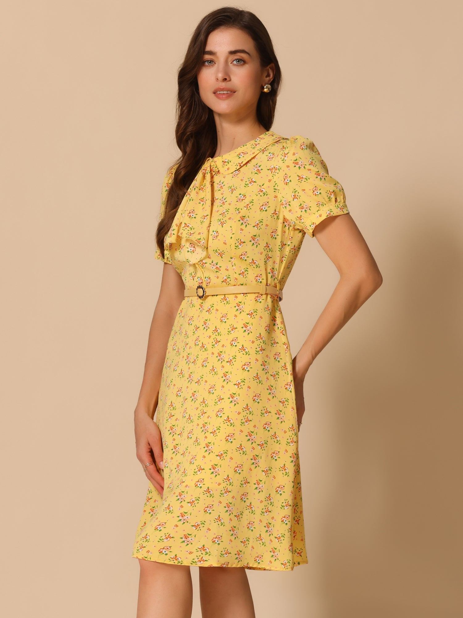Peter Pan Collar Tie Neck Short Sleeve A-Line Belted Floral Dress