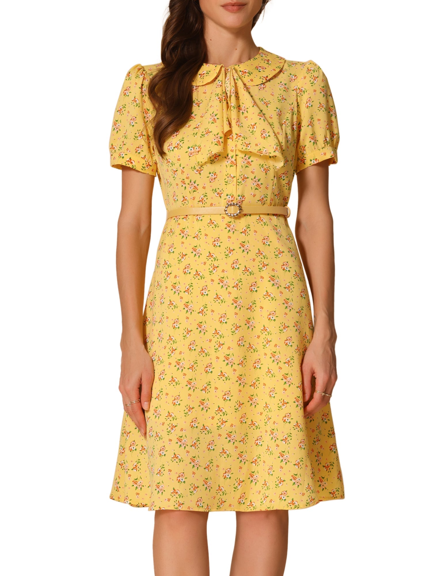 Peter Pan Collar Tie Neck Short Sleeve A-Line Belted Floral Dress