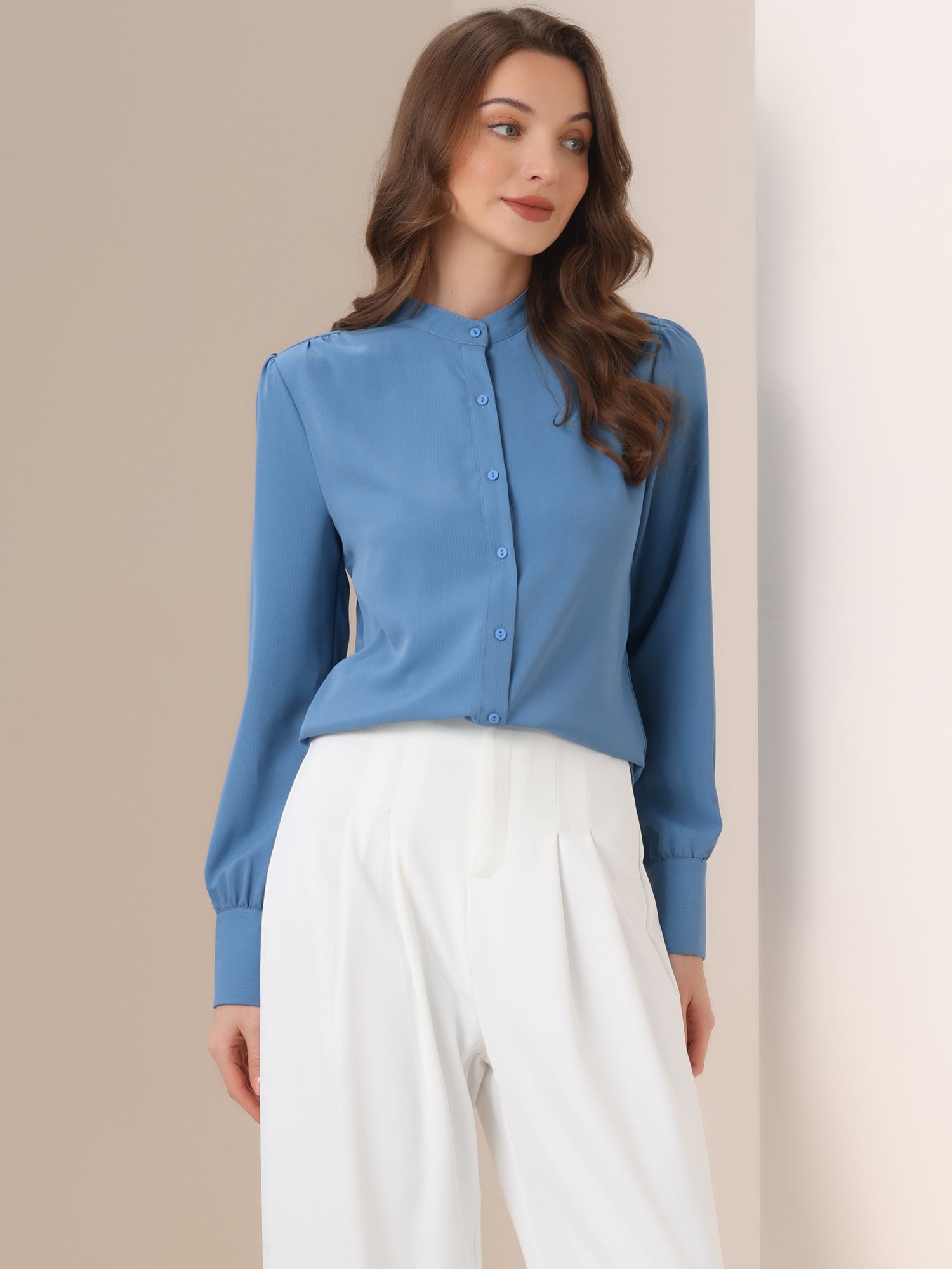 Mandarin Collar Long Sleeve Button Down Office Shirt