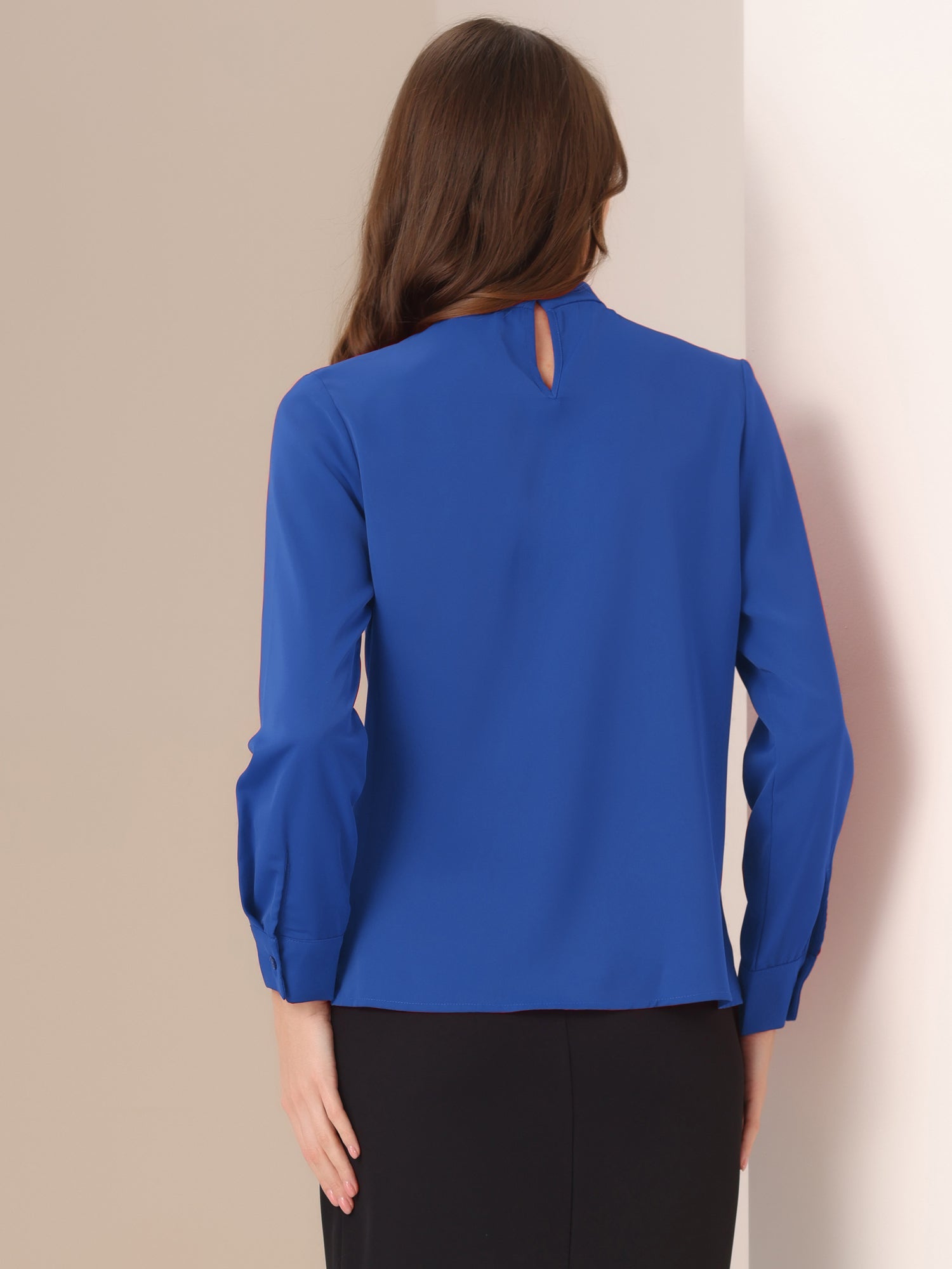 Stand Collar Chiffon Long Sleeve Business Casual Work Blouse