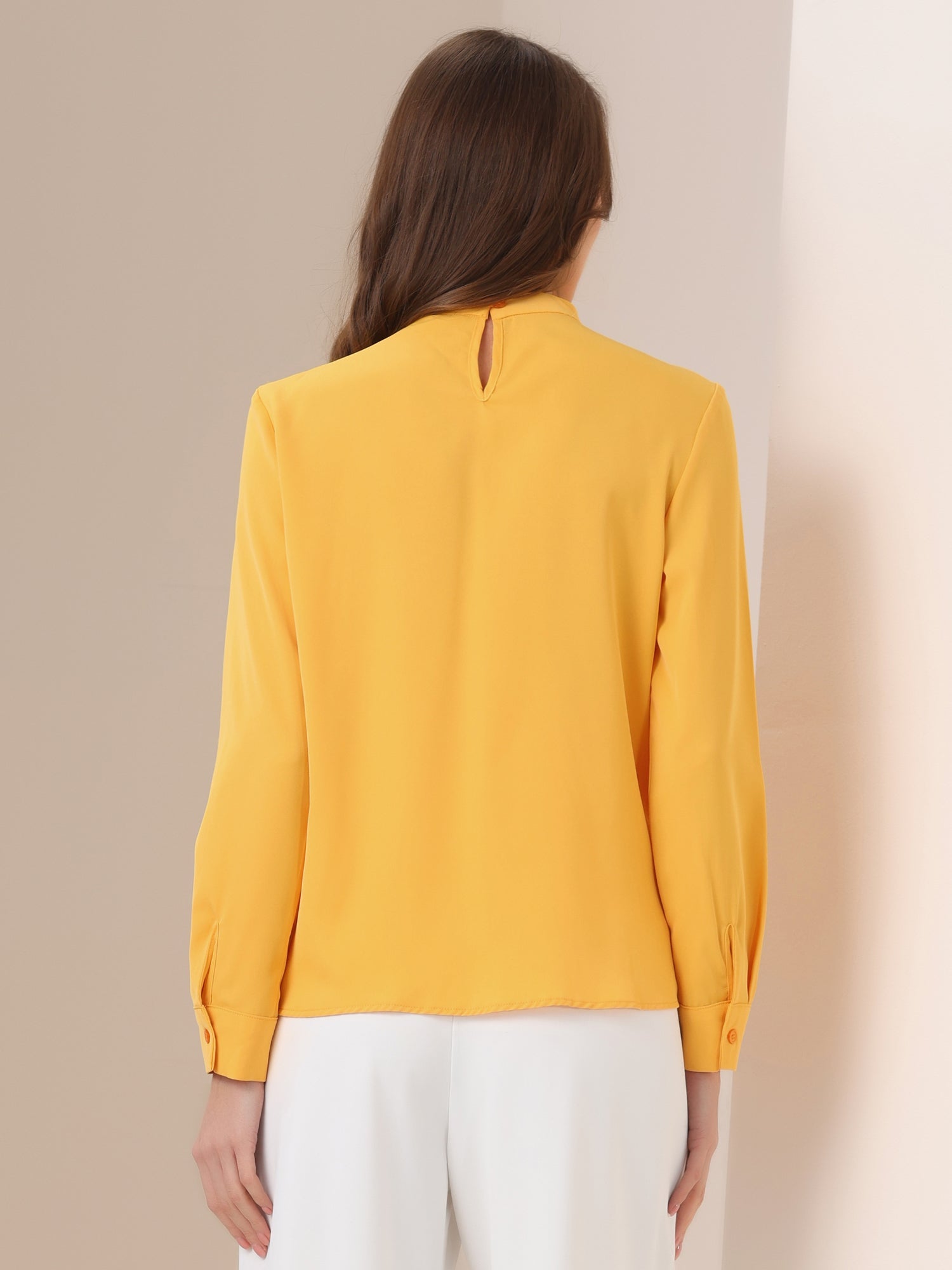 Stand Collar Chiffon Long Sleeve Business Casual Work Blouse