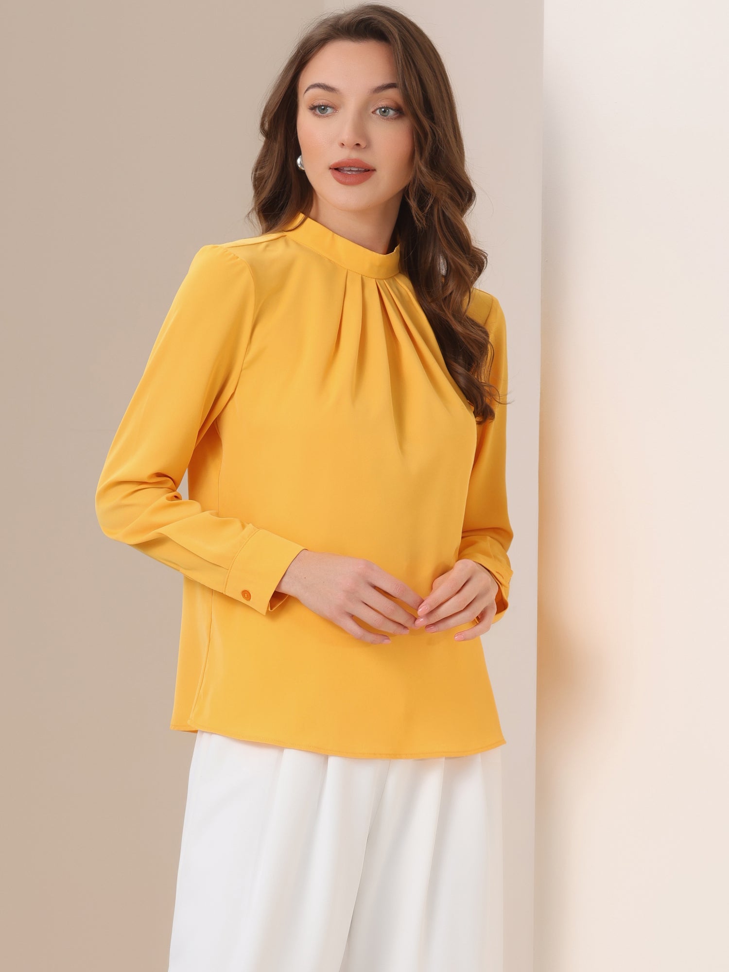 Stand Collar Chiffon Long Sleeve Business Casual Work Blouse