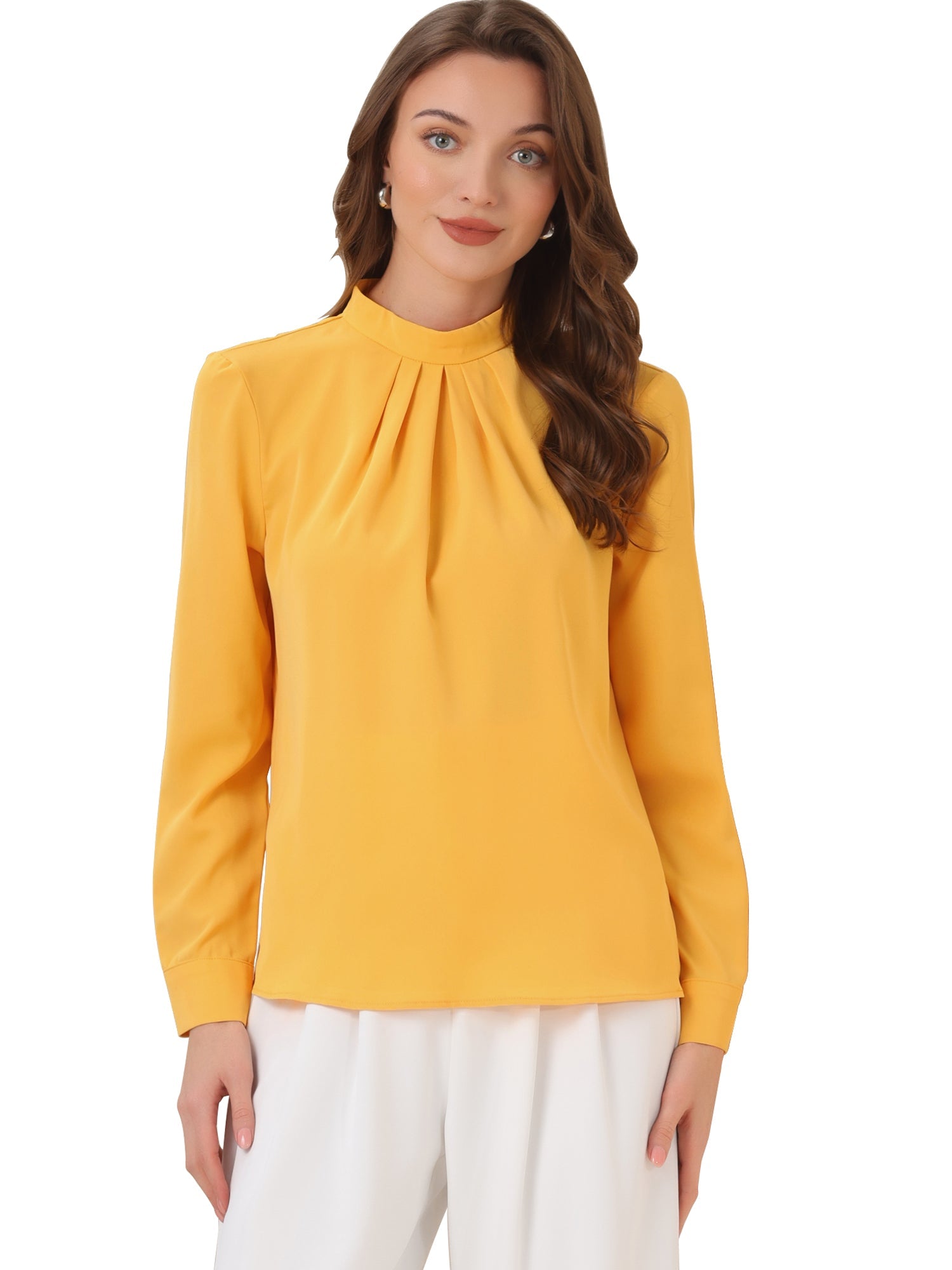 Stand Collar Chiffon Long Sleeve Business Casual Work Blouse