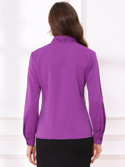 Long Sleeve Chiffon Pleated Tie Neck Office Blouse