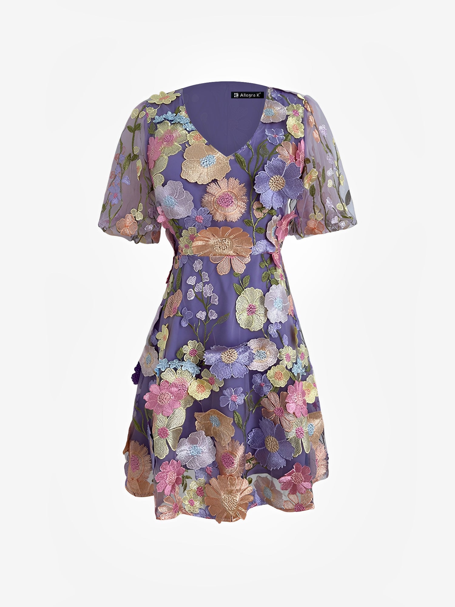 Flower Embroidered Puff Sleeves Mini A-Line Dress