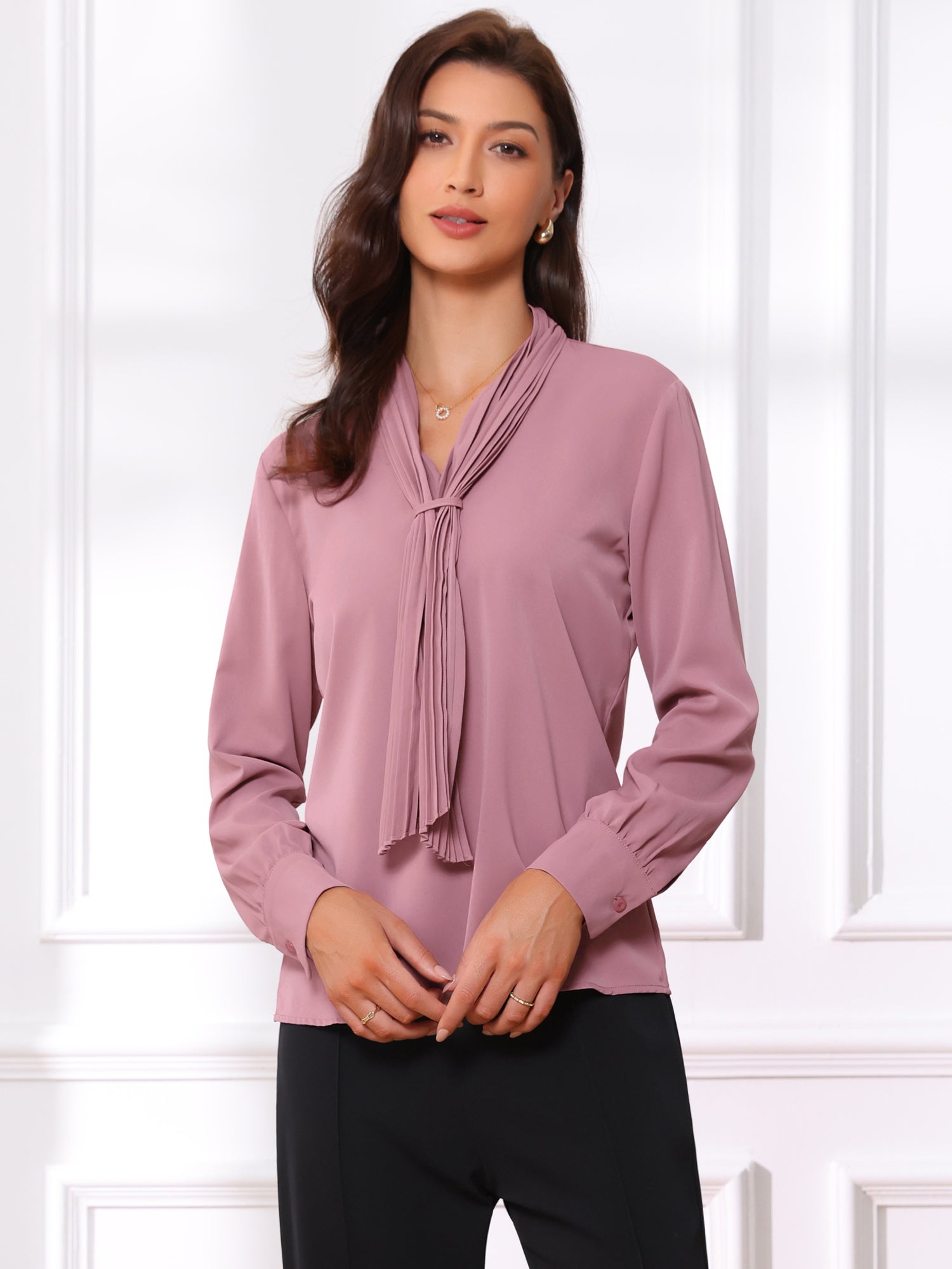 Long Sleeve Chiffon Pleated Tie Neck Office Blouse