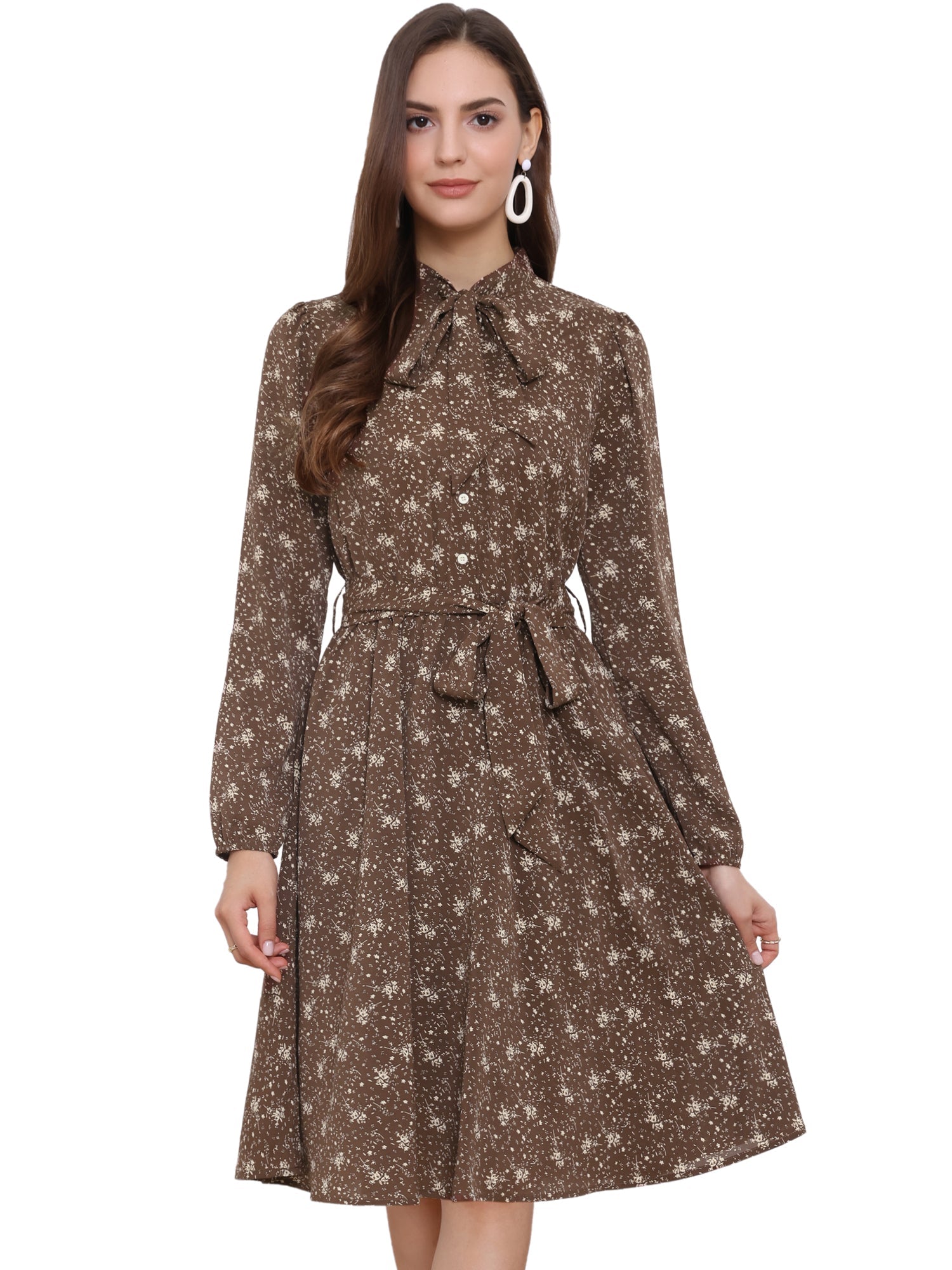 Tie Neck Chiffon Long Sleeve Belted Vintage Floral Dress