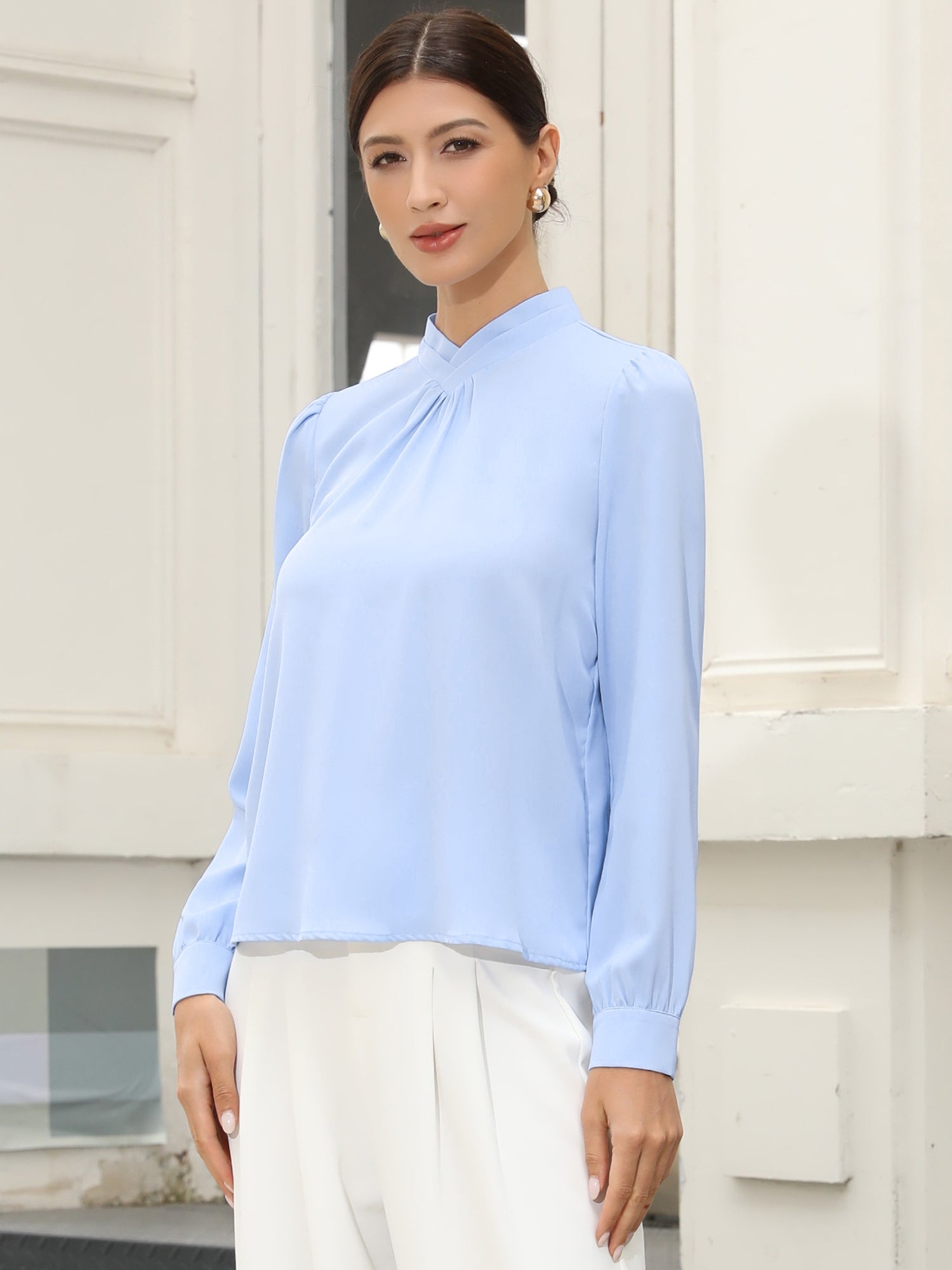 Work Business Casual Pleat Mock Neck Puff Long Sleeve Office Blouse