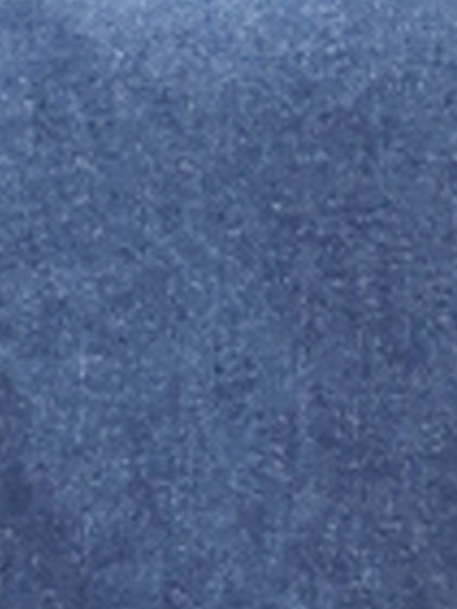Denim Ruffled Sleeve Notch Neck Casual Jean Blouse