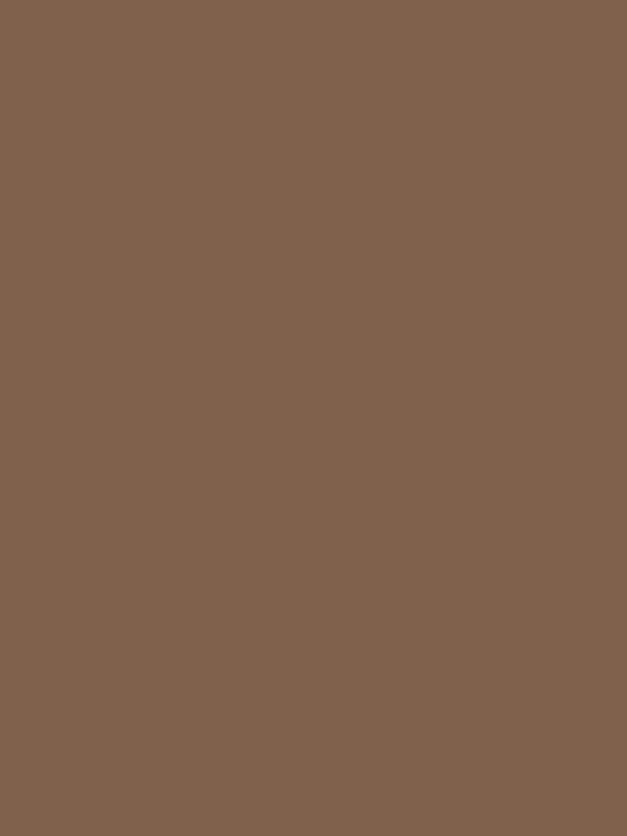 Ruched Mock Neck Long Sleeves Solid Color Blouse