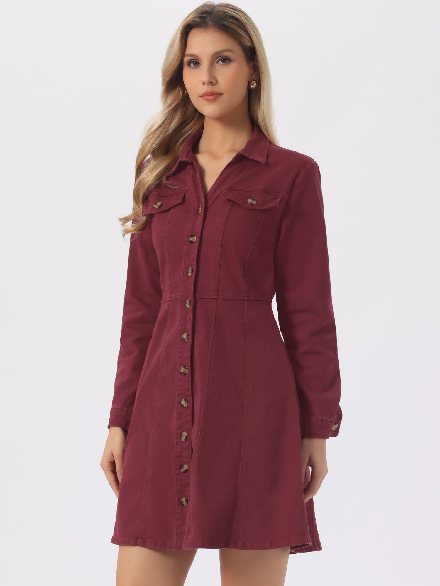 Button Down Collar V Neck Long Sleeve A-line Jean Denim Dress