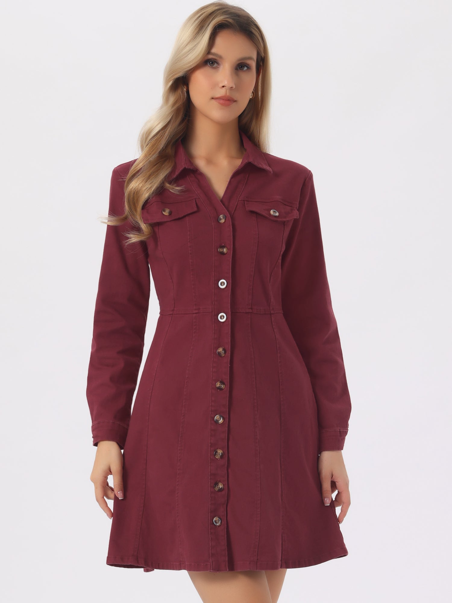 Button Down Collar V Neck Long Sleeve A-line Jean Denim Dress