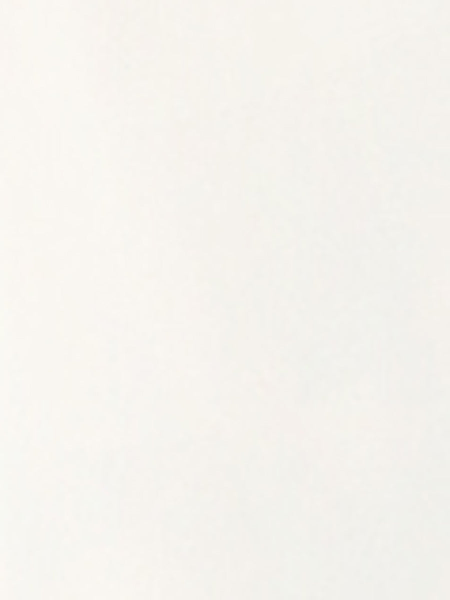 Peter Pan Collar Business Casual Work Shirts