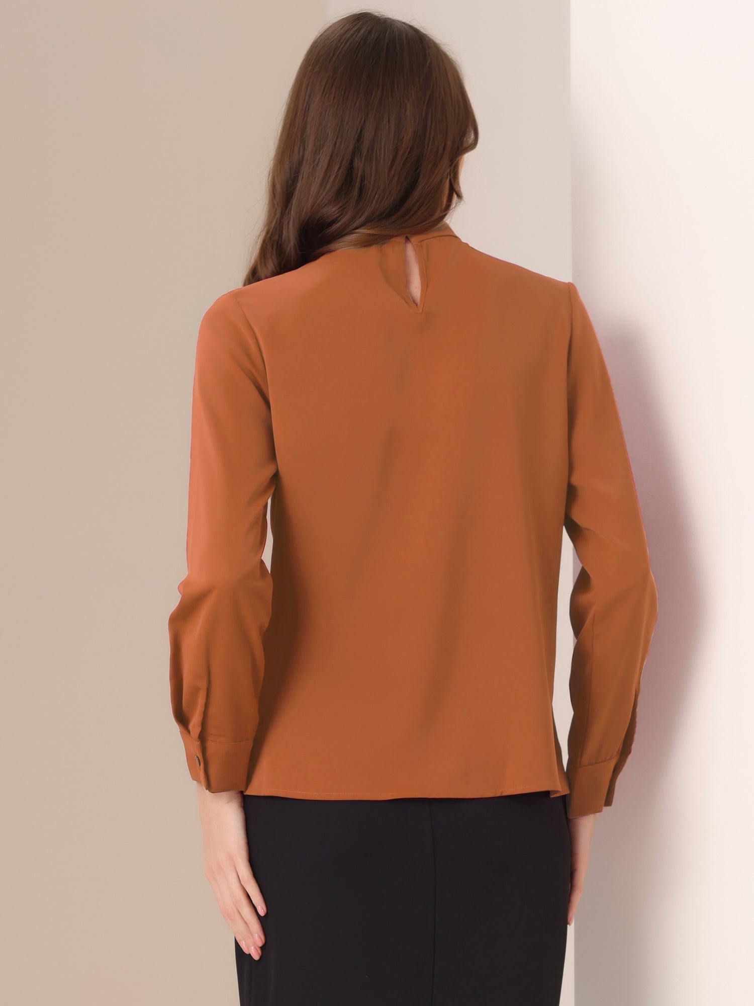 Stand Collar Chiffon Long Sleeve Business Casual Work Blouse
