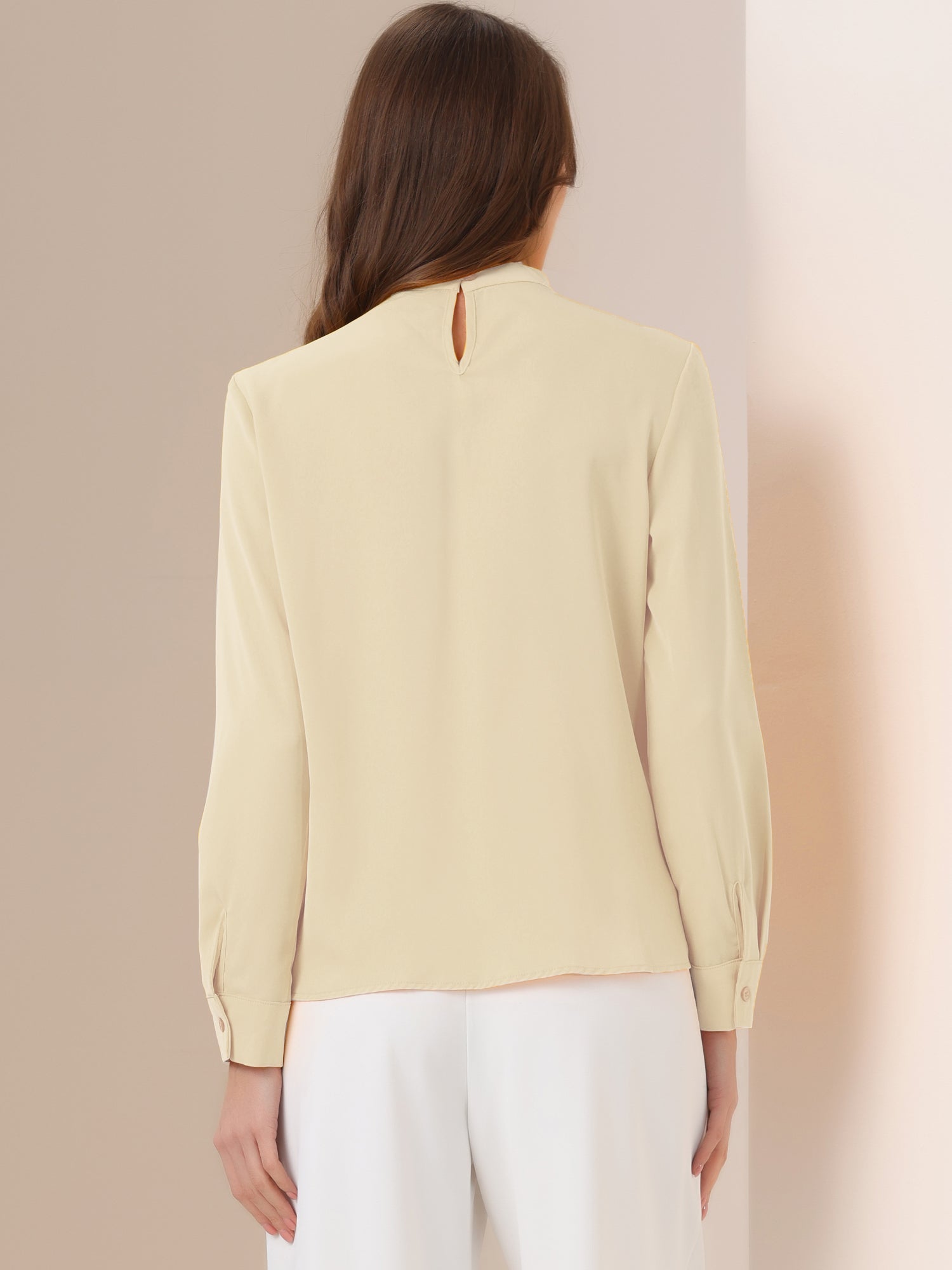 Stand Collar Chiffon Long Sleeve Business Casual Work Blouse