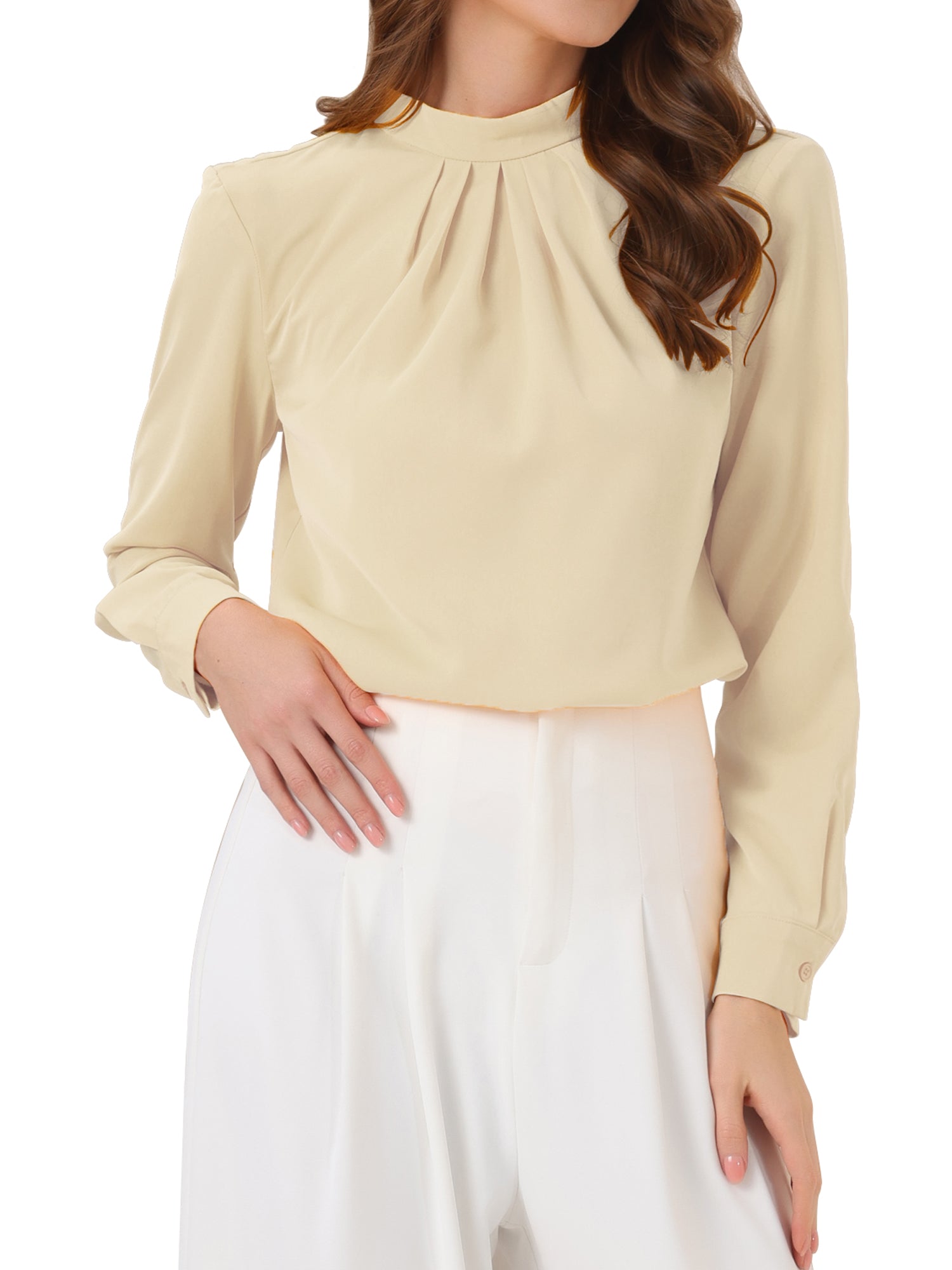 Stand Collar Chiffon Long Sleeve Business Casual Work Blouse